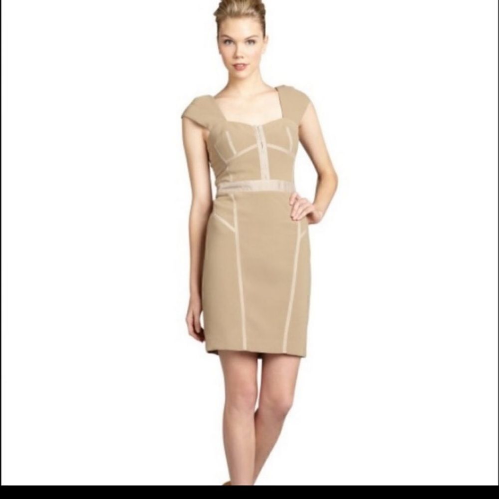 Rebecca Taylor Light Brown Sweetheart Bodice Dress
